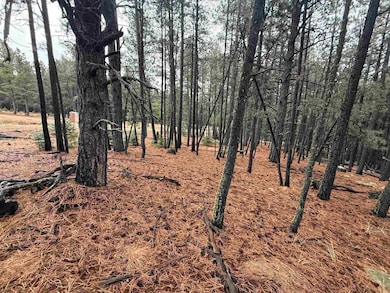 Lot 80 San Juan Dr, Angel Fire, NM 87710 - photo 3