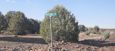 Xxxx Martinez, Williams, AZ 86046 - photo 4