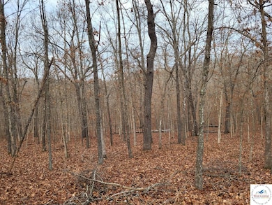 0 Dunn Dr unit Lot 1331, Edwards, MO 65326 - photo 7