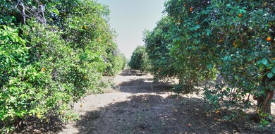 3643 E Huber St unit 2, Mesa, AZ 85205 - photo 7