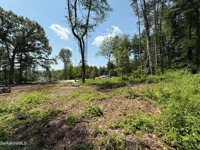 14 McGee Rd, Egremont, MA 01230 - photo 4