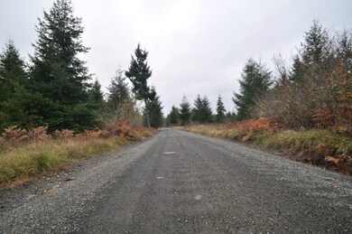 8 Thimbleberry Ln SE, Yelm, WA 98597 - photo 4