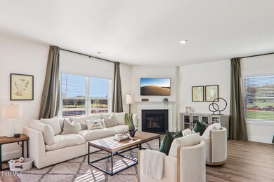 228 Chimney View Loop, Blountville, TN 37617 - photo 7