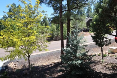 Treed Front Yard