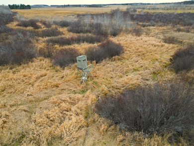 47691 635th Ave, Sebeka, MN 56477 - photo 2