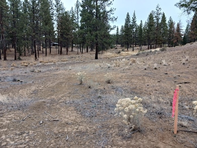 0 Arrowhead Ln unit Lot 20, Chiloquin, OR 97639 - photo 3