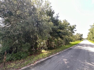 1050 E Whistler Ct, Hernando, FL 34442 - photo 3