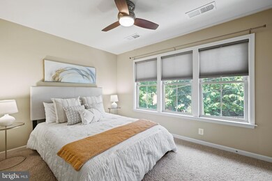 3459 Kemper Rd, Arlington, VA 22206 - photo 3