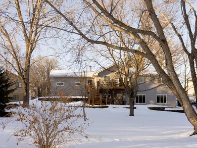 View of the back yard. You'll find apple trees and