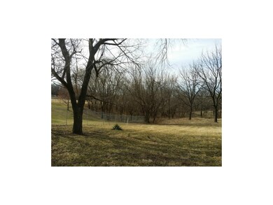 More back yard view