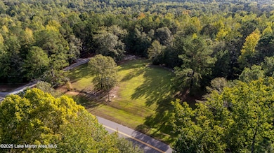 1560 Landers Swink Rd, Eclectic, AL 36024 - photo 6