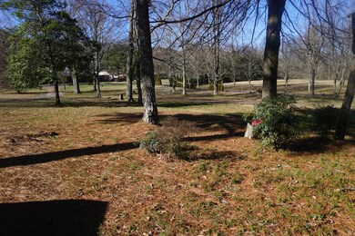 DSC00556