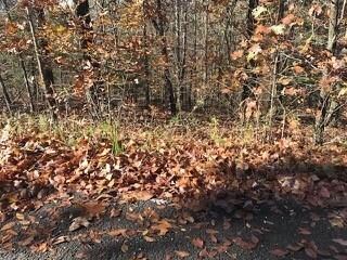 -- Boswell Cir, Bella Vista, AR 72715 - photo 3