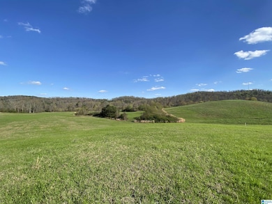 6423 Highway 174, Springville, AL 35146 - photo 6