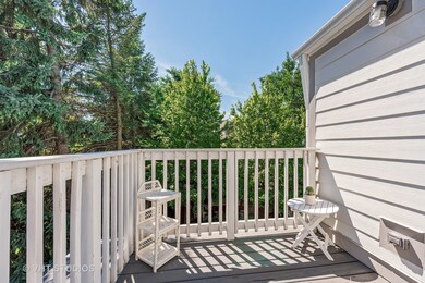 4832 N Hamilton Ave, Chicago, IL 60625 - photo 2