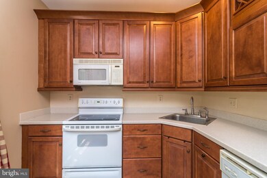 119 Mulberry Ct unit 19, Morgantown, PA 19543 - photo 6