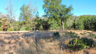 0 7 1 Ac Fieldbrook Estates Dr unit 16-3404, Redding, CA 96003 - photo 4