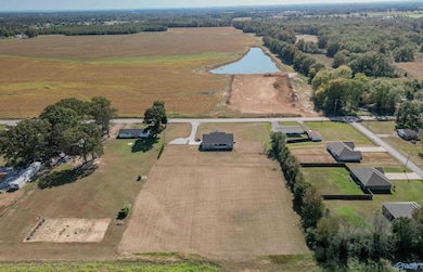13617 New Cut Rd, Athens, AL 35611 - photo 2