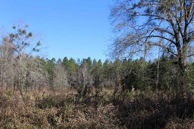 Most of the subject property is cleared and the lo
