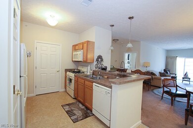 616 Aqua Marine Blvd unit 16, Avon Lake, OH 44012 - photo 4