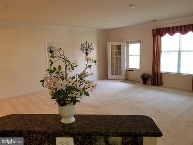 1520 Enyart Way unit 11-102, Annapolis, MD 21409 - photo 6