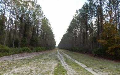 0 Us Hwy 441 N unit 94803, Lake City, FL 32055 - photo 4