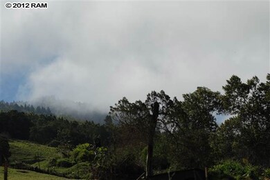 302 Laumania Rd unit 36-C, Kula, HI 96790 - photo 4