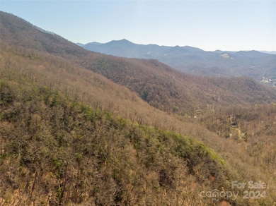 00 Buff Creek Rd, Sylva, NC 28779 - photo 5