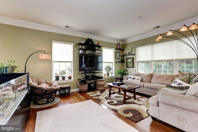 115 Chevy Chase St unit A, Gaithersburg, MD 20878 - photo 3