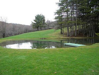 Yard/Garden