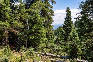 2191 Pine Loop Road Wanship UT 84017 USA