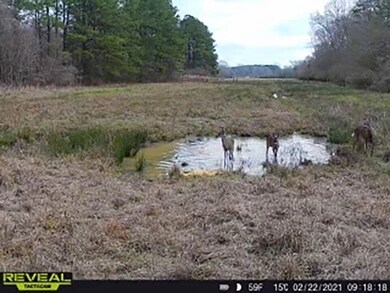 unlisted-address, Osyka, MS 39657 - photo 5