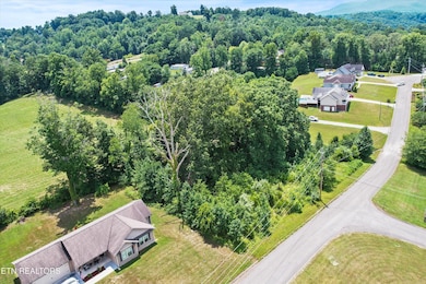 0 Storm Ln unit 1307847, Jacksboro, TN 37757 - photo 4