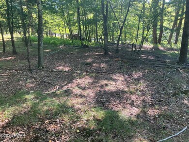Lot 176 Tink Wig Dr, Lackawaxen Township, PA 18428 - photo 6