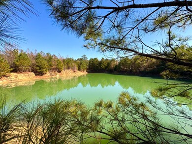 4134 Barton Ferry Rd, Columbus, MS 39705 - photo 2