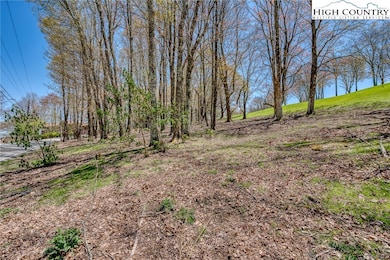 201 Grassy Gap Loop Rd, Beech Mountain, NC 28604 - photo 5