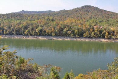 265 Pl Colyer Rd, Somerset, KY 42501 - photo 4