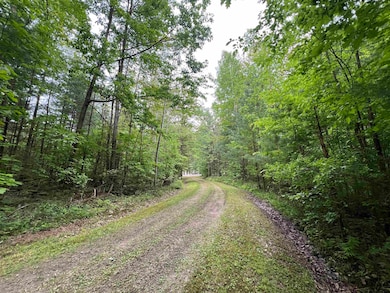 Lots 19 & 20 E Pinecrest Dr unit 24, Secord Township, MI 48624 - photo 5