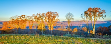 0 Black Oak Rd unit 1524588, Bakewell, TN 37373 - photo 7