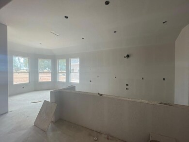 1113 Springfield Rd, Springtown, TX 76082 - photo 6