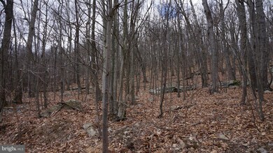 15 Roberts Ln, Berkeley Springs, WV 25411 - photo 7