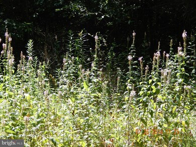 Rr 1 unit 1001181389, Kearneysville, WV 25430 - photo 6