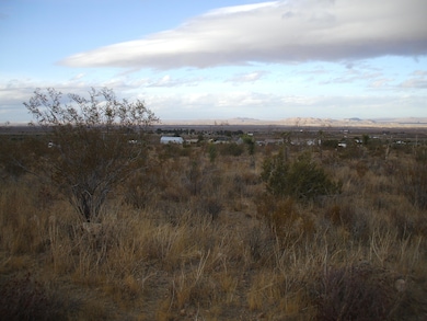 00 SE Bob Gap Rd, Llano, CA 93544 - photo 4