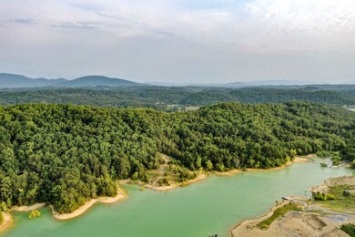 0 Parrotts Chapel Rd unit 245876, Sevierville, TN 37876 - photo 7