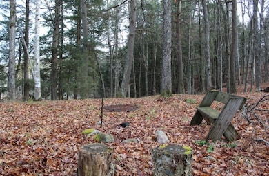 762 Moonlight Ln, Blackwell, WI 54103 - photo 7