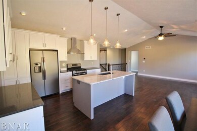 unlisted-address, Downs, IL 61736 - photo 5