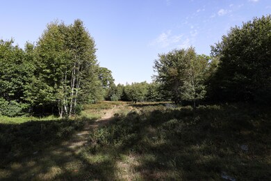 1021 Surry Rd, Surry, ME 04684 - photo 2