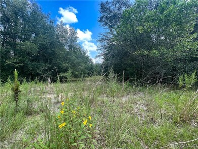Lot View
