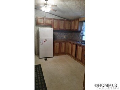 14 Noland Hills Dr, Leicester, NC 28748 - photo 2