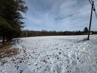 0 Reber Rd, West Buffalo Township, PA 17844 - photo 3